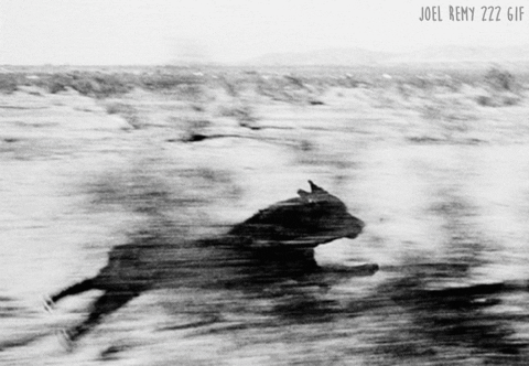GIF by joelremygif
