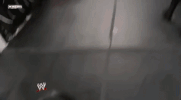 wrestling GIF by WWE