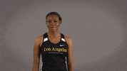 Cal State La Track GIF by Cal State LA Golden Eagles