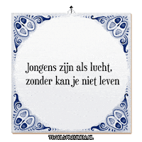Hart Wijsheid Sticker by Tegelspreuken.nl