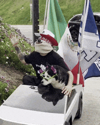 Los Angeles Crying GIF by SWAGGY WOLFDOG