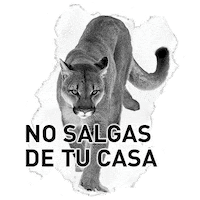 Roar Naturaleza Sticker by PUMA