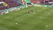 1 Fc Cologne Football GIF by 1. FC Köln