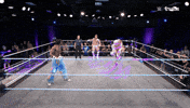 Wwe Wrestling GIF by Tubi