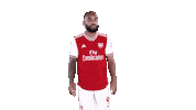 Premier League Dancing Sticker by Arsenal