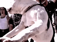nuclear blast recordings GIF by Machine Head