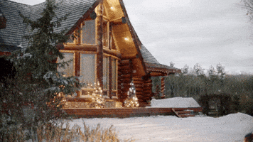 Christmas Movie GIF by Hallmark Mystery