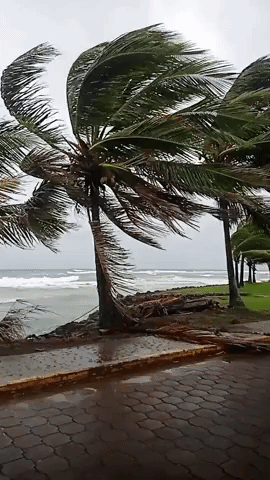 High Winds and Rough Surf Reach Nicaragua's Corn Islands as Hurricane Iota Approaches