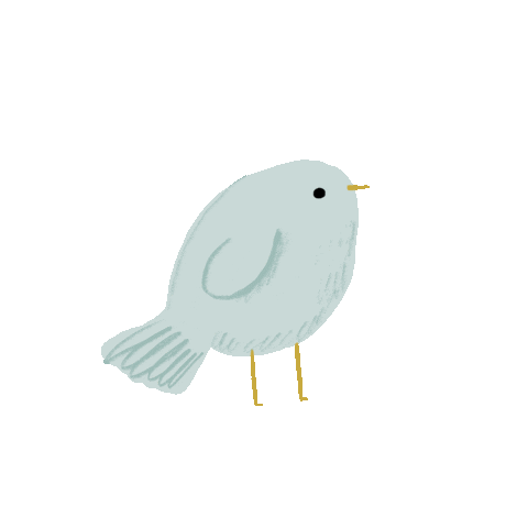 Bird Twitter Sticker by Sophie Corrigan