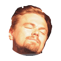 leonardo dicaprio summer STICKER by imoji