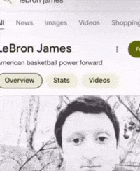Lebron James GIF