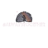 Ajwest Sticker by Insta Book Tours