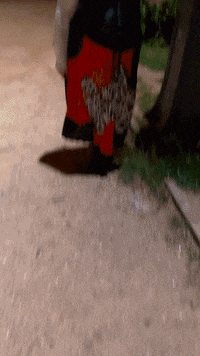 Happy France GIF