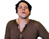Ashton Irwin Wildflower Sticker by 5 Seconds of Summer