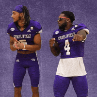 Football Wesleyan GIF by KWC Panthers