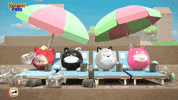Angry Cat GIF by HangryPetz