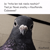 Shopping What GIF by Kaufland Slovensko