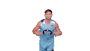 Celebrating Liga Endesa Sticker by ACB