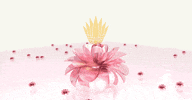 CalherDelaeter flower crown fleur couronne GIF