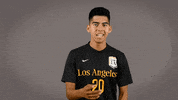 Division Ii Soccer GIF by Cal State LA Golden Eagles