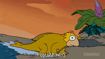 Episode 2 GIF by The Simpsons