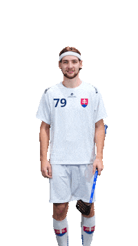 slovenskyzvazflorbalu slovakia florbal szfb slovak floorball Sticker