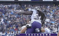 2018 nfl football GIF by NFL