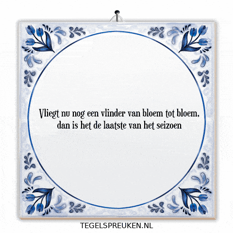Moment Nl GIF by Tegelspreuken.nl