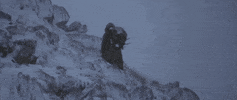 man in the wilderness GIF by Warner Archive