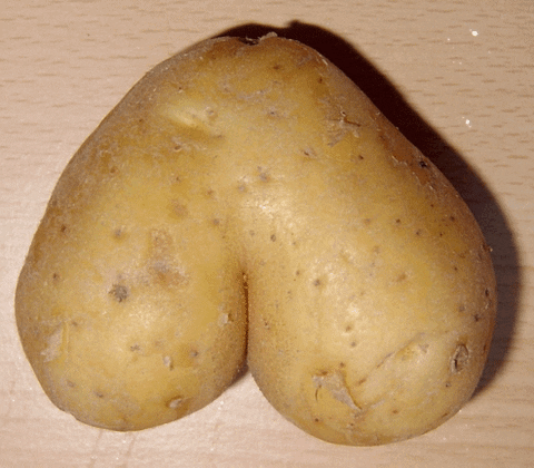 potato moving GIF