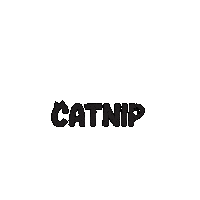 catniptakeout cats kitty kittens playful Sticker