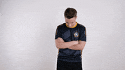 Esports Pose GIF by GamerLegion