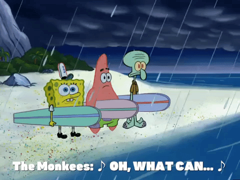 season 6 GIF by SpongeBob SquarePants