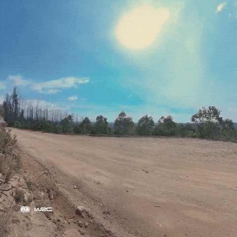 Driving On My Way GIF by FIA World Rally Championship