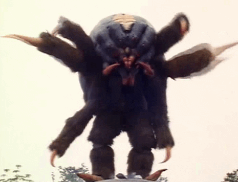 spider GIF