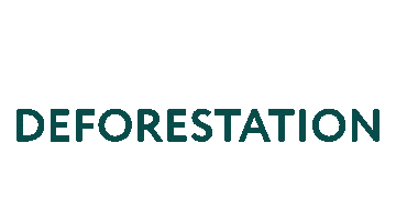 GoForest nature plant forest sustainability Sticker