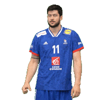 Nicolas Tournat Ffhandball Sticker by Fédération Française de Handball