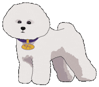 Dog Show Dogs Sticker by Westminster Kennel Club