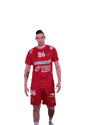 Wilhelmshaven Whv Sticker by whvhandball
