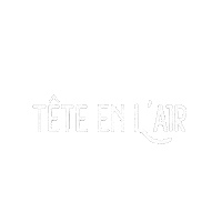 teteenlair tete en lair telair teteenlair aviation tete en lair Sticker