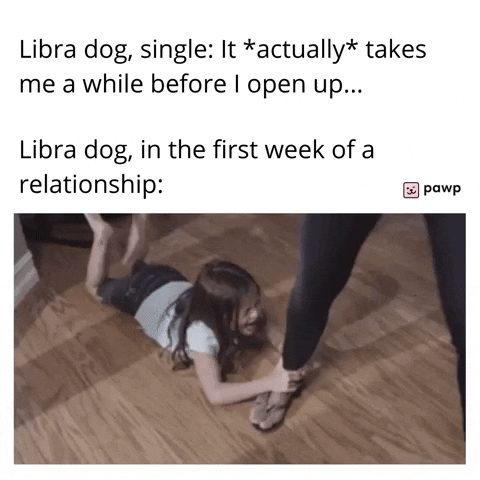 mypawp giphyupload GIF