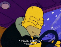 homer simpson GIF