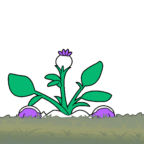 Happy Good Morning Sticker by Magic Eden