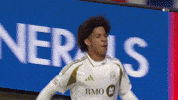 Kicking David Martinez GIF by Major League Soccer