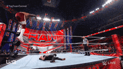 Sport Wwe GIF by USA Network