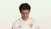 Look Up Vfb Stuttgart GIF by Bundesliga