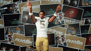 Georgia Tech Football GIF by Georgia Tech Yellow Jackets