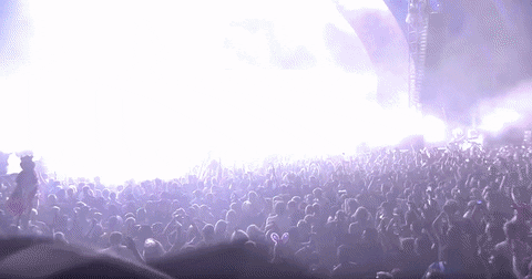 tomorrowland GIF by Robin Schulz