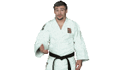Fight Swipe Up Sticker by Czech judo