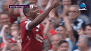 Happy Legend GIF by MolaTV
